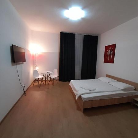 Piata Unirii- 1 Room Studio Apartment Timisoara Esterno foto