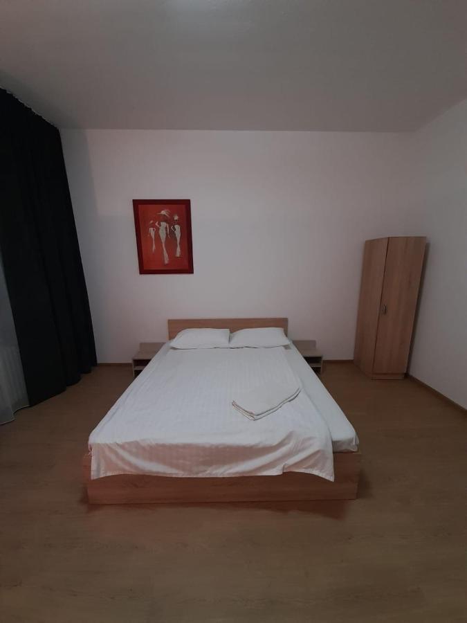 Piata Unirii- 1 Room Studio Apartment Timisoara Esterno foto
